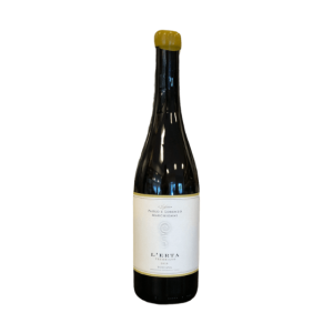 Vigliano L'Erta Trebbiano vino biologico IGT Toscana